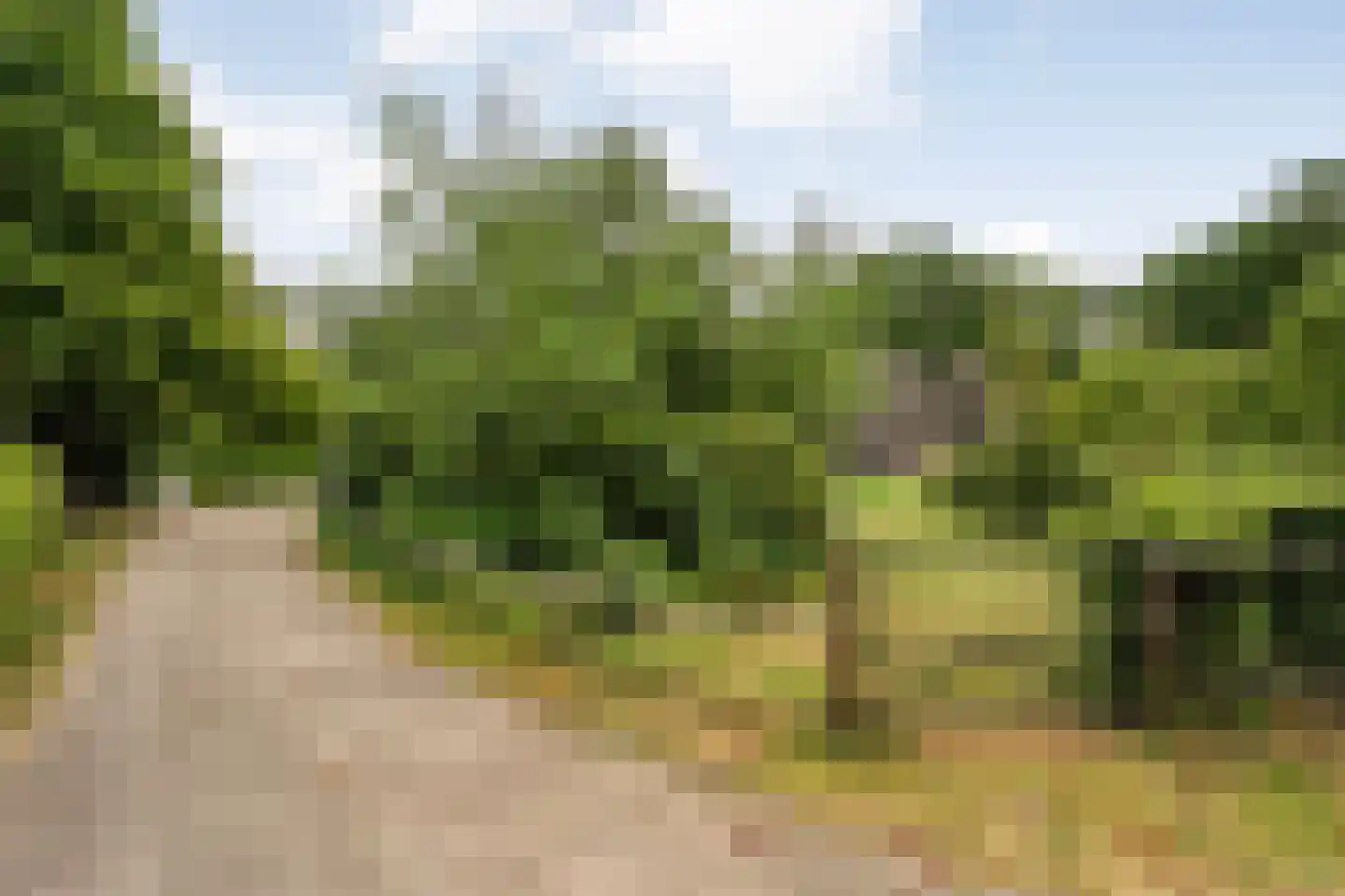 Nolderweg 4 Linde thumbnail 84