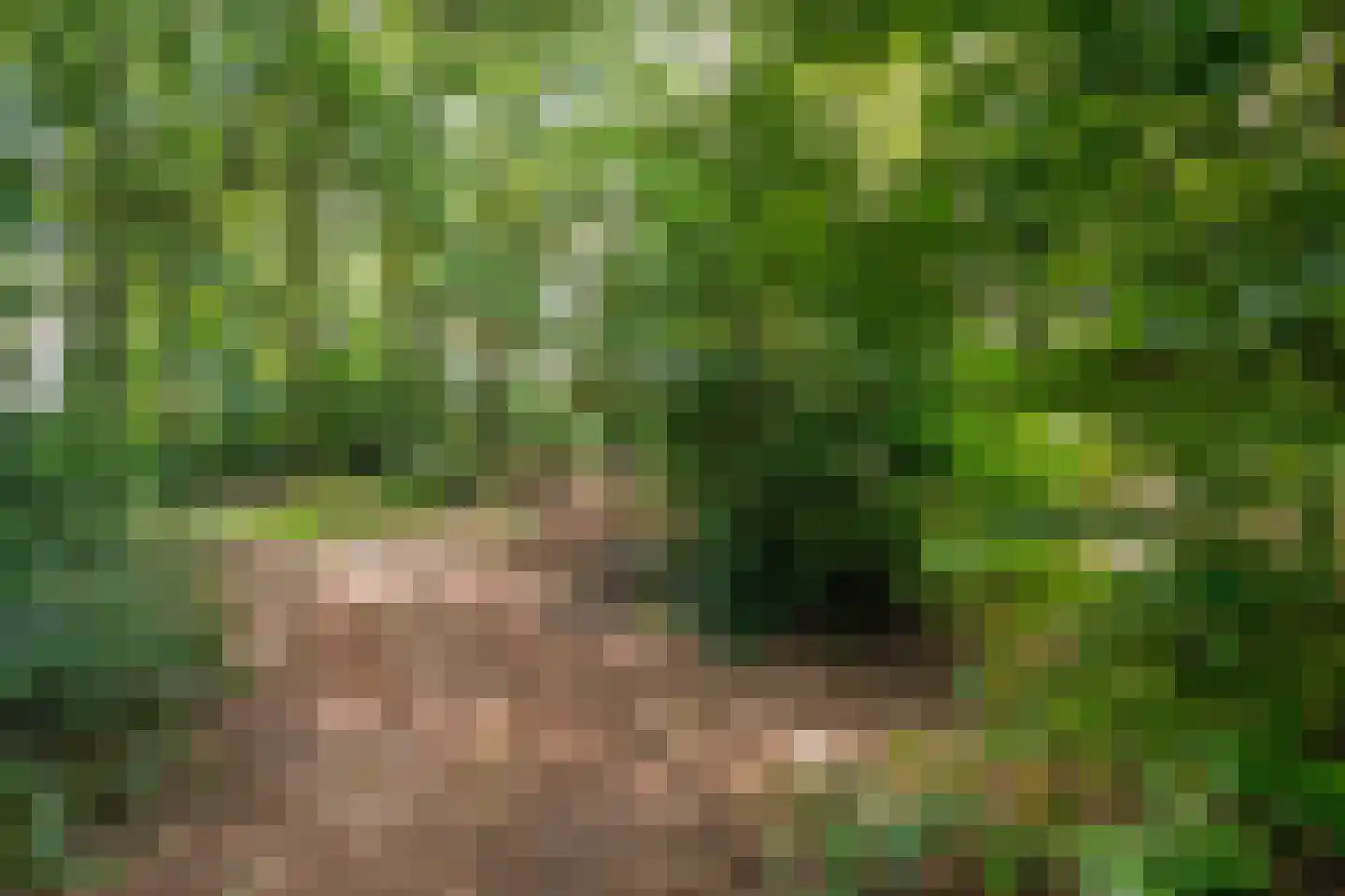 Nolderweg 4 Linde thumbnail 87