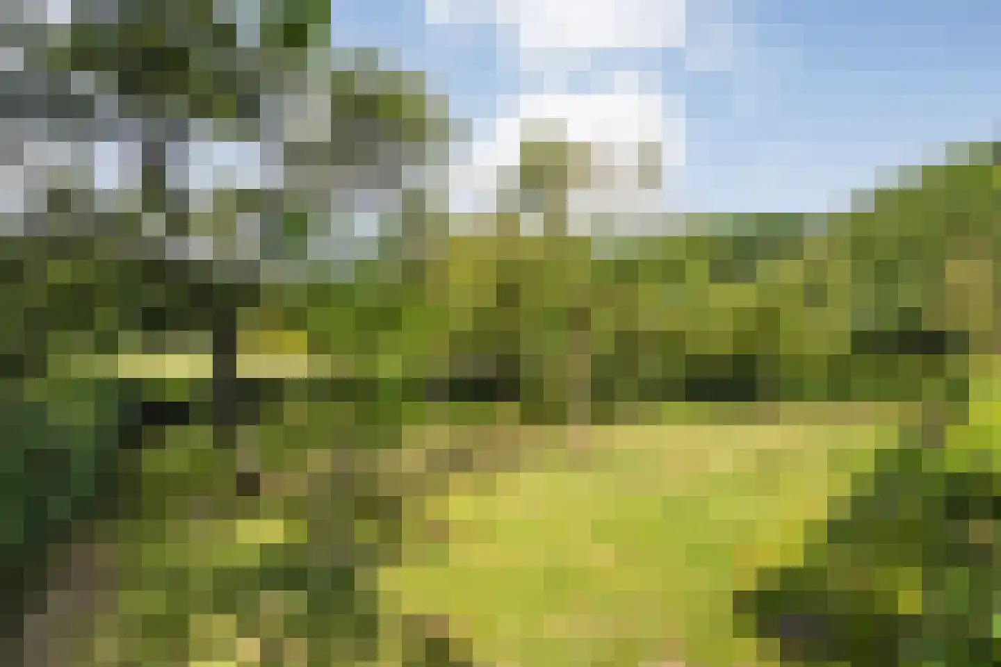 Nolderweg 4 Linde thumbnail 90