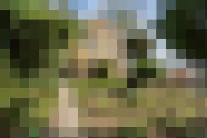 Noldijk 119 Barendrecht thumbnail 33