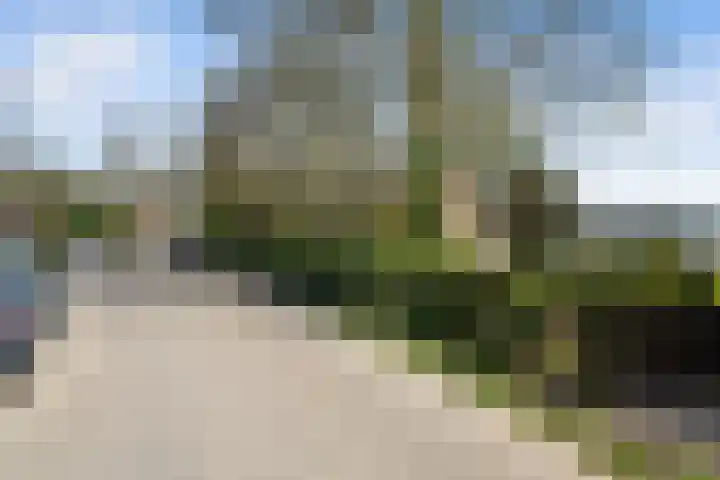 Noldijk 119 Barendrecht thumbnail 4