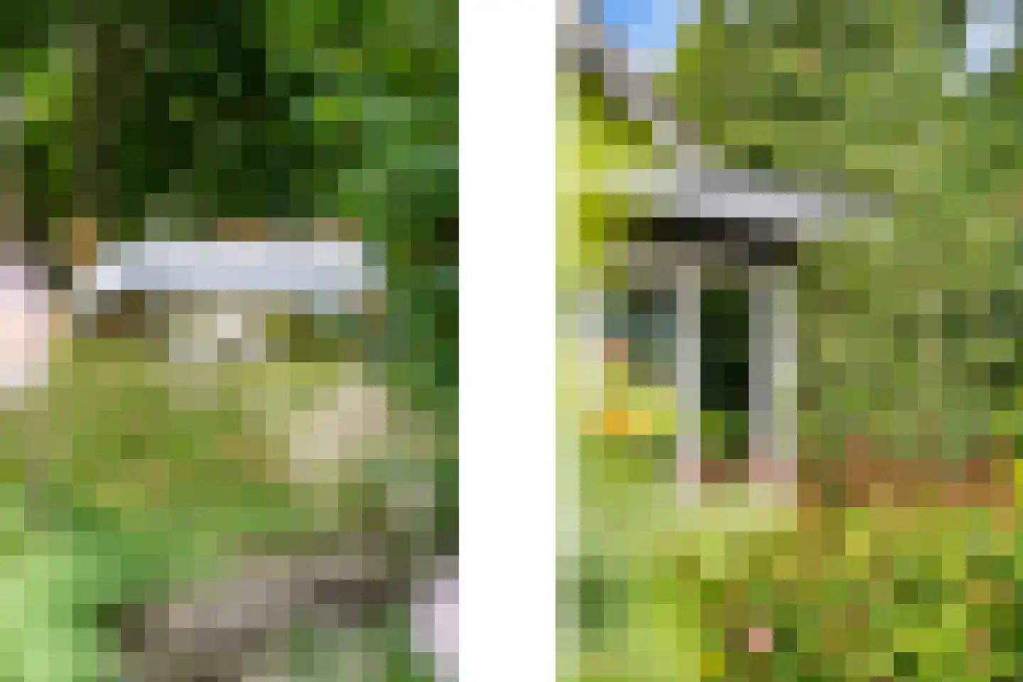 Noldijk 129 Barendrecht thumbnail 43