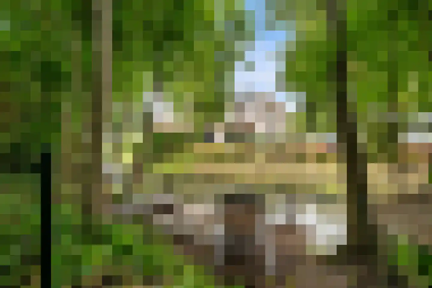 Noldijk 129 Barendrecht thumbnail 58