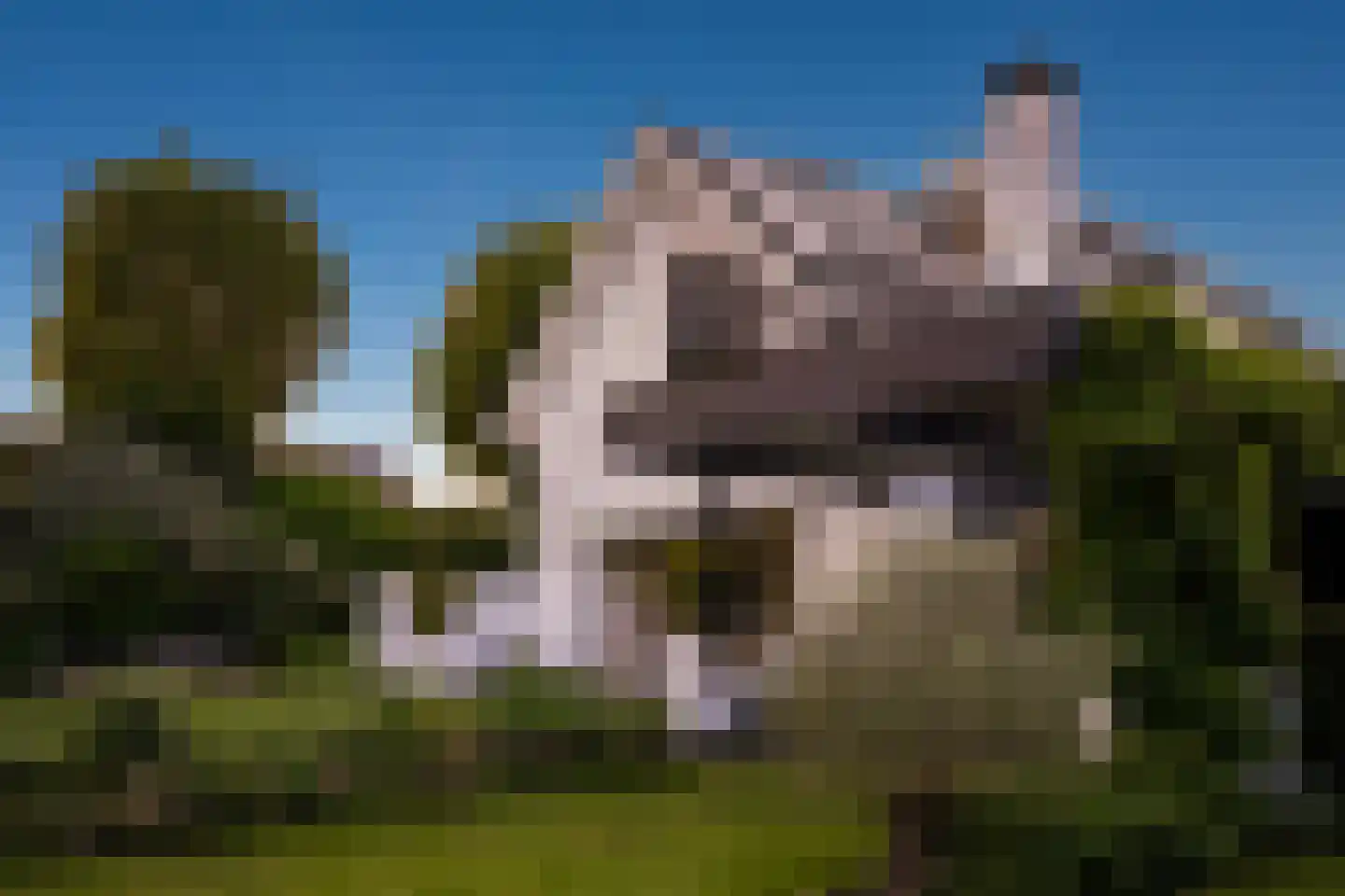 Noldijk 139 Barendrecht thumbnail 81