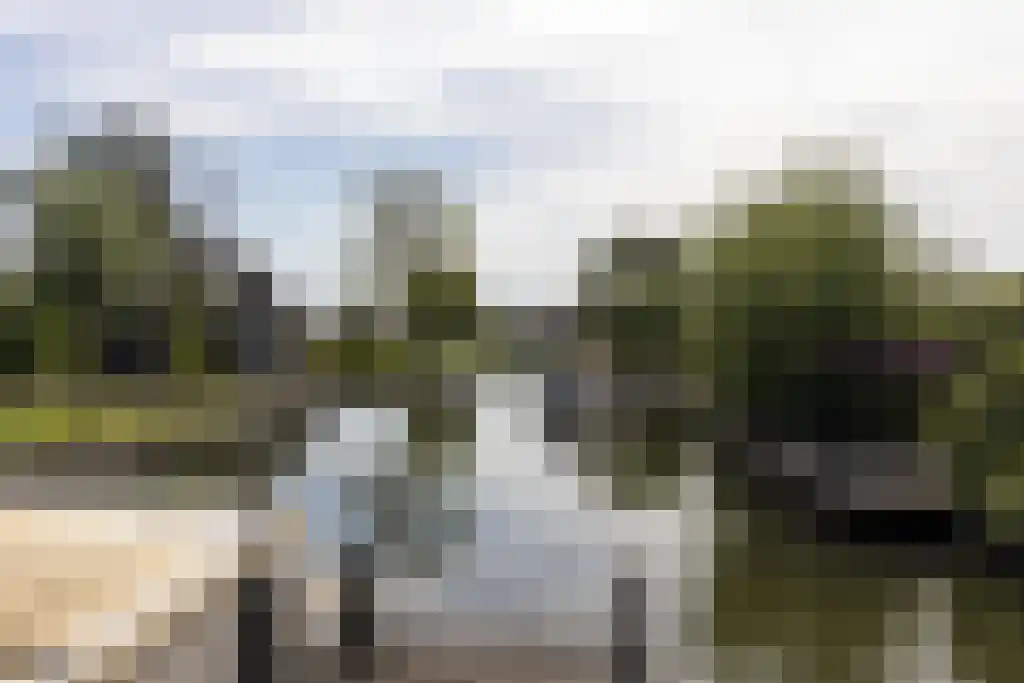 Noldijk 171 Barendrecht thumbnail 4