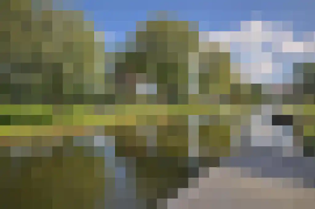Noldijk 171 Barendrecht thumbnail 63