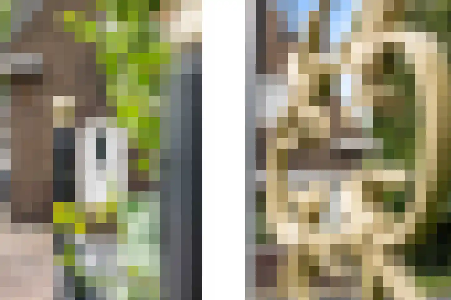 Noldijk 3 Ridderkerk thumbnail 14