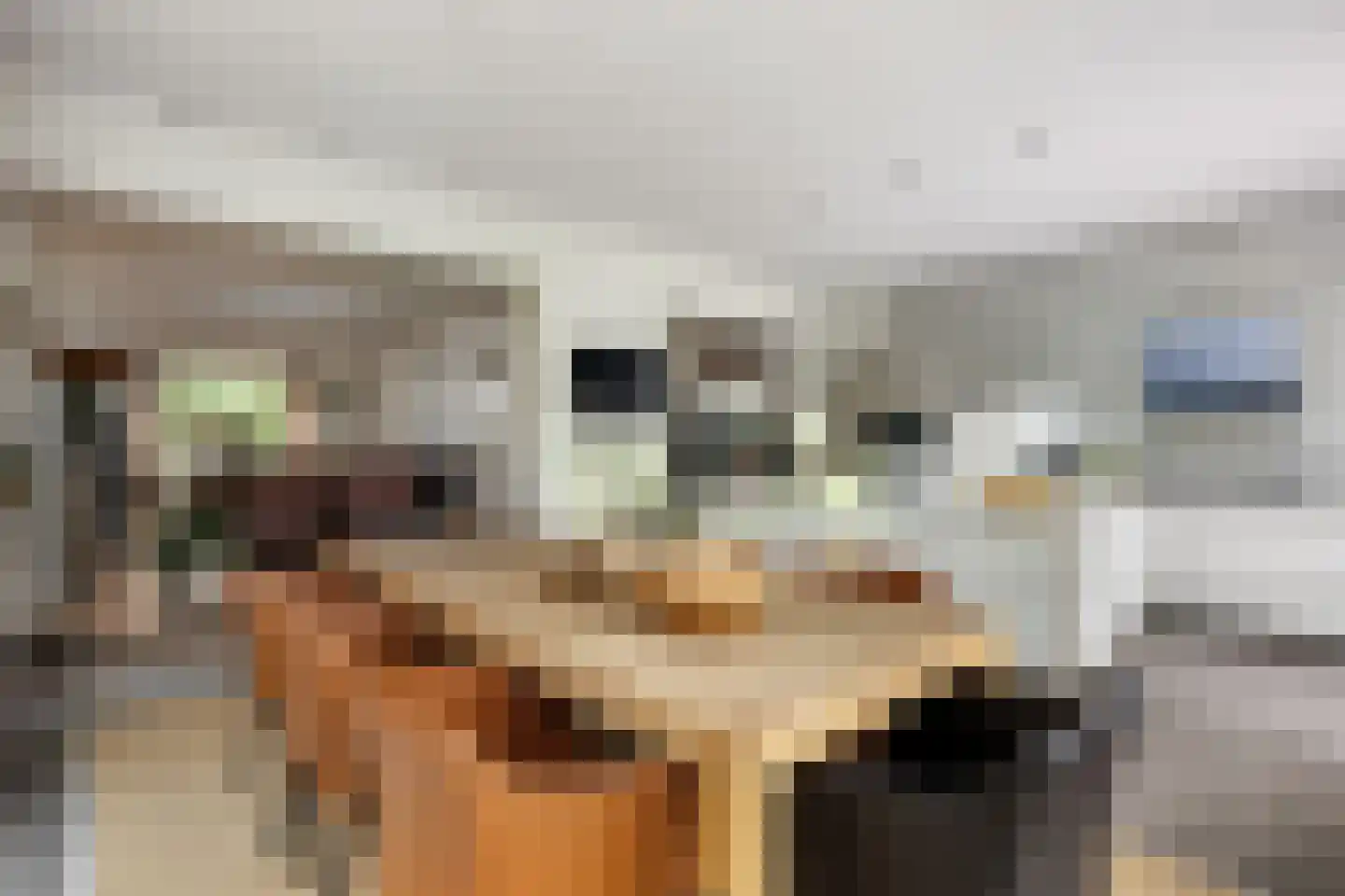 Noldijk 3 Ridderkerk thumbnail 29