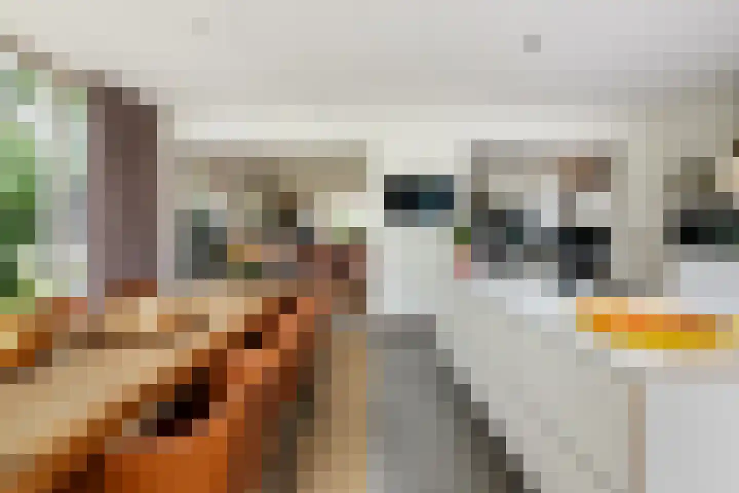 Noldijk 3 Ridderkerk thumbnail 30