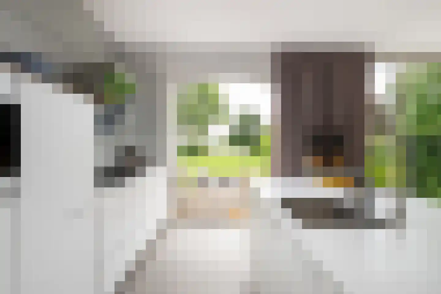 Noldijk 3 Ridderkerk thumbnail 33