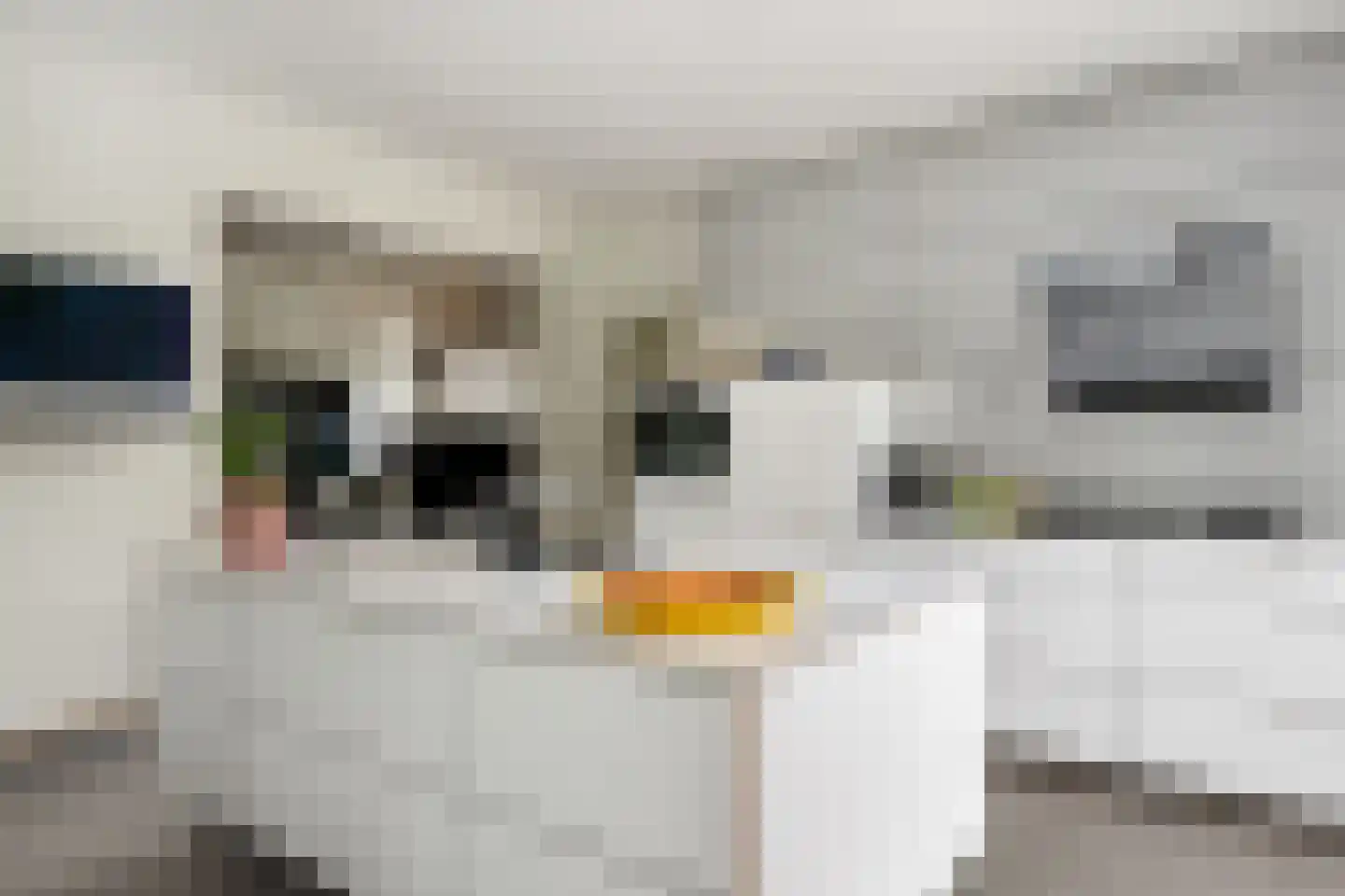 Noldijk 3 Ridderkerk thumbnail 34