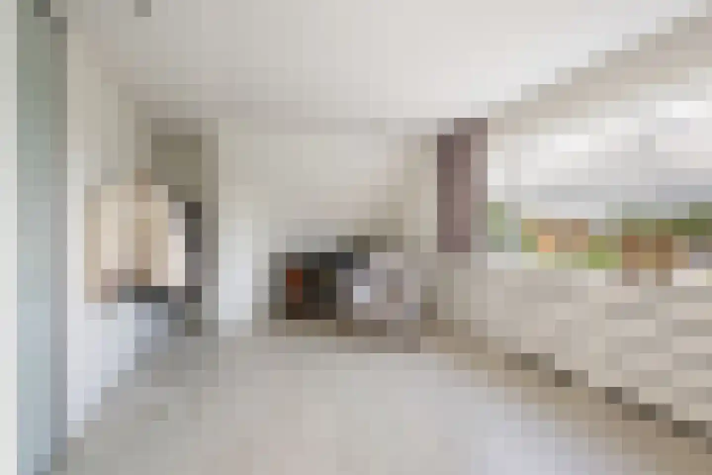 Noldijk 3 Ridderkerk thumbnail 41
