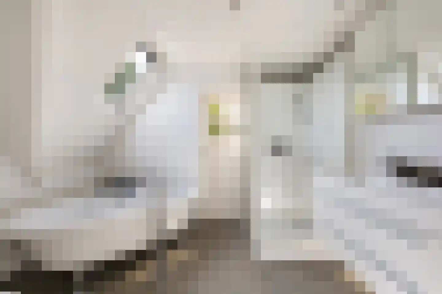 Noldijk 3 Ridderkerk thumbnail 44