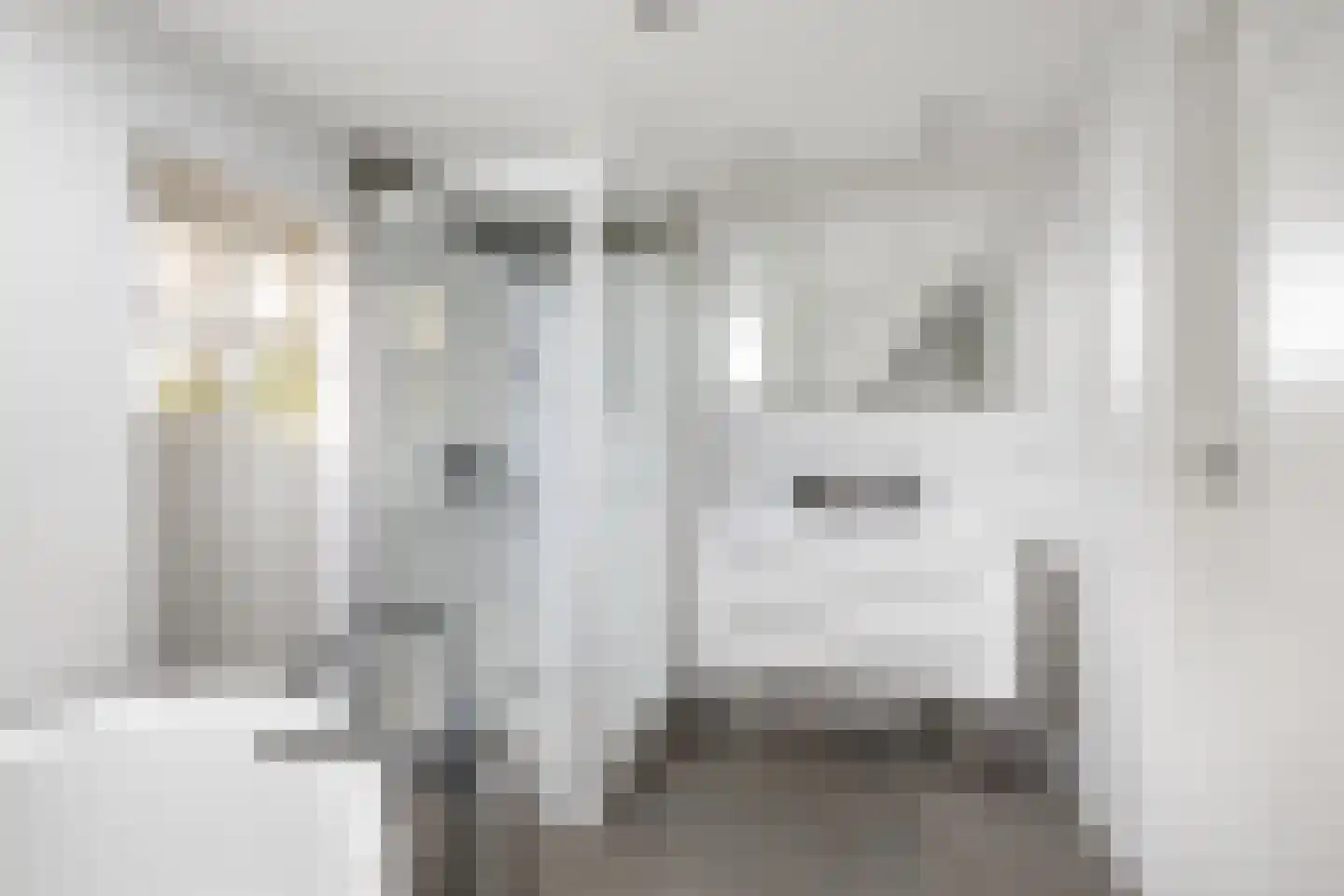 Noldijk 3 Ridderkerk thumbnail 47