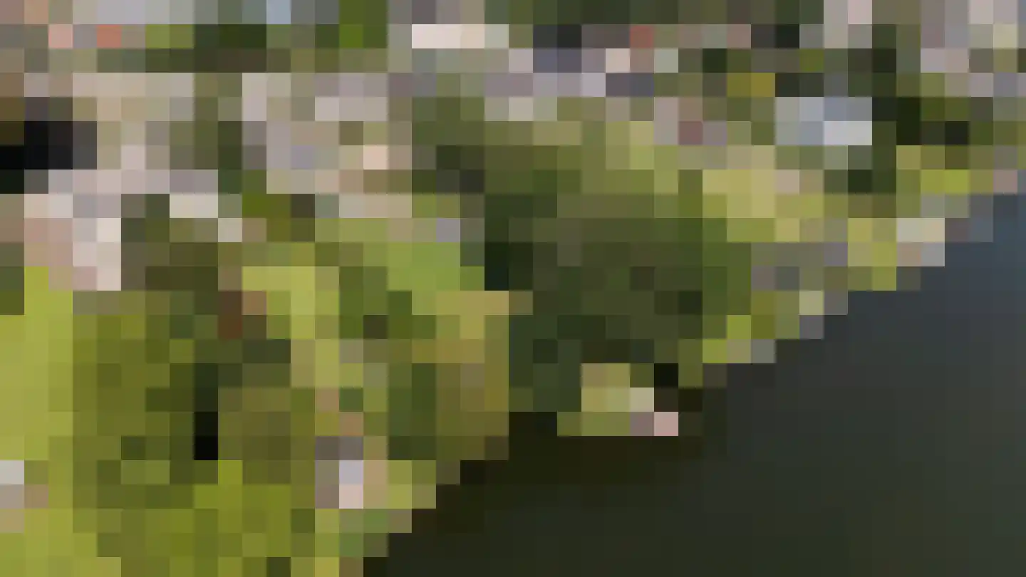 Noldijk 3 Ridderkerk thumbnail 5