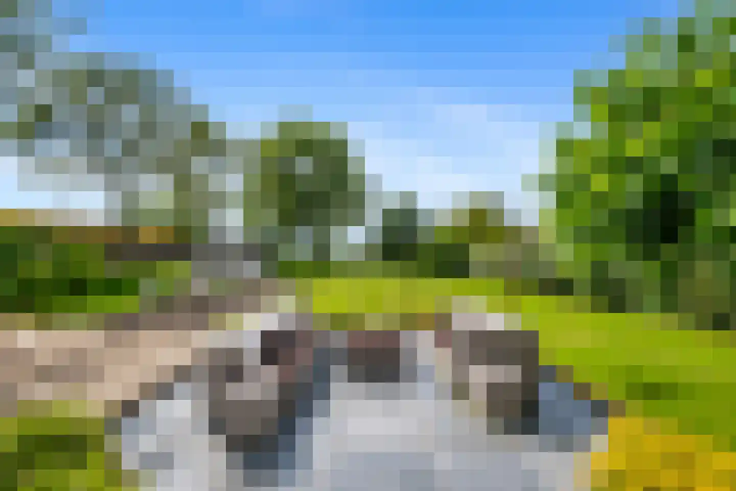 Noldijk 3 Ridderkerk thumbnail 57