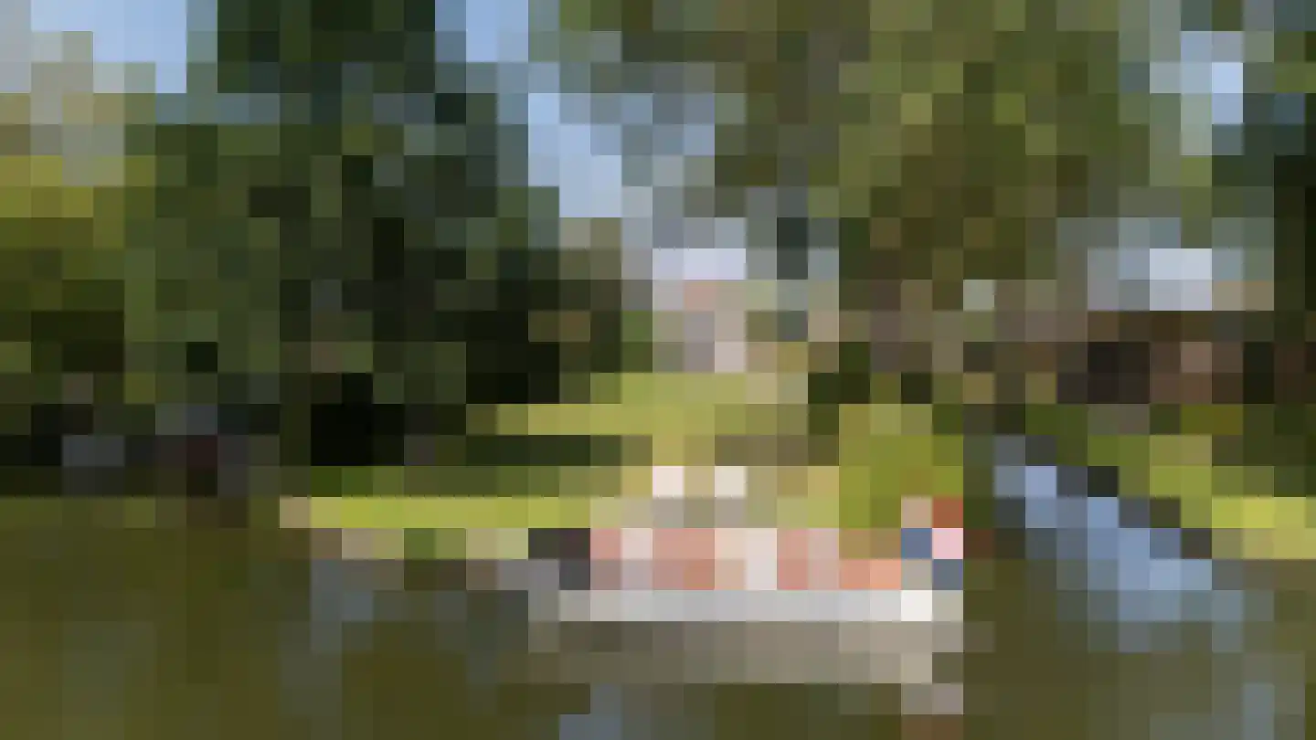 Noldijk 3 Ridderkerk thumbnail 6