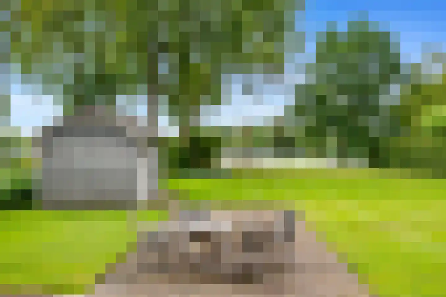 Noldijk 3 Ridderkerk thumbnail 60
