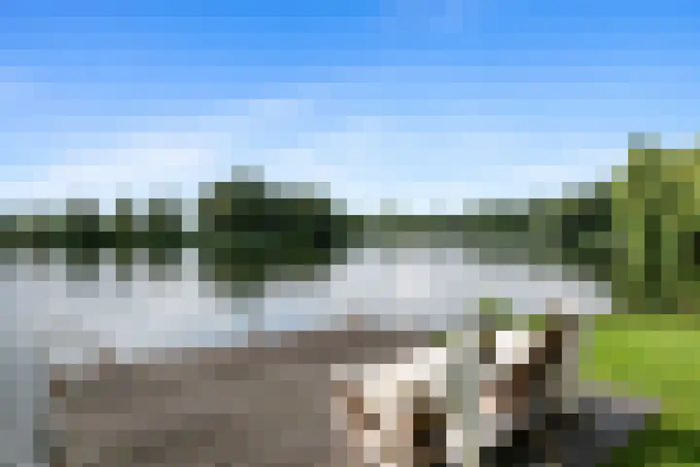 Noldijk 3 Ridderkerk thumbnail 63