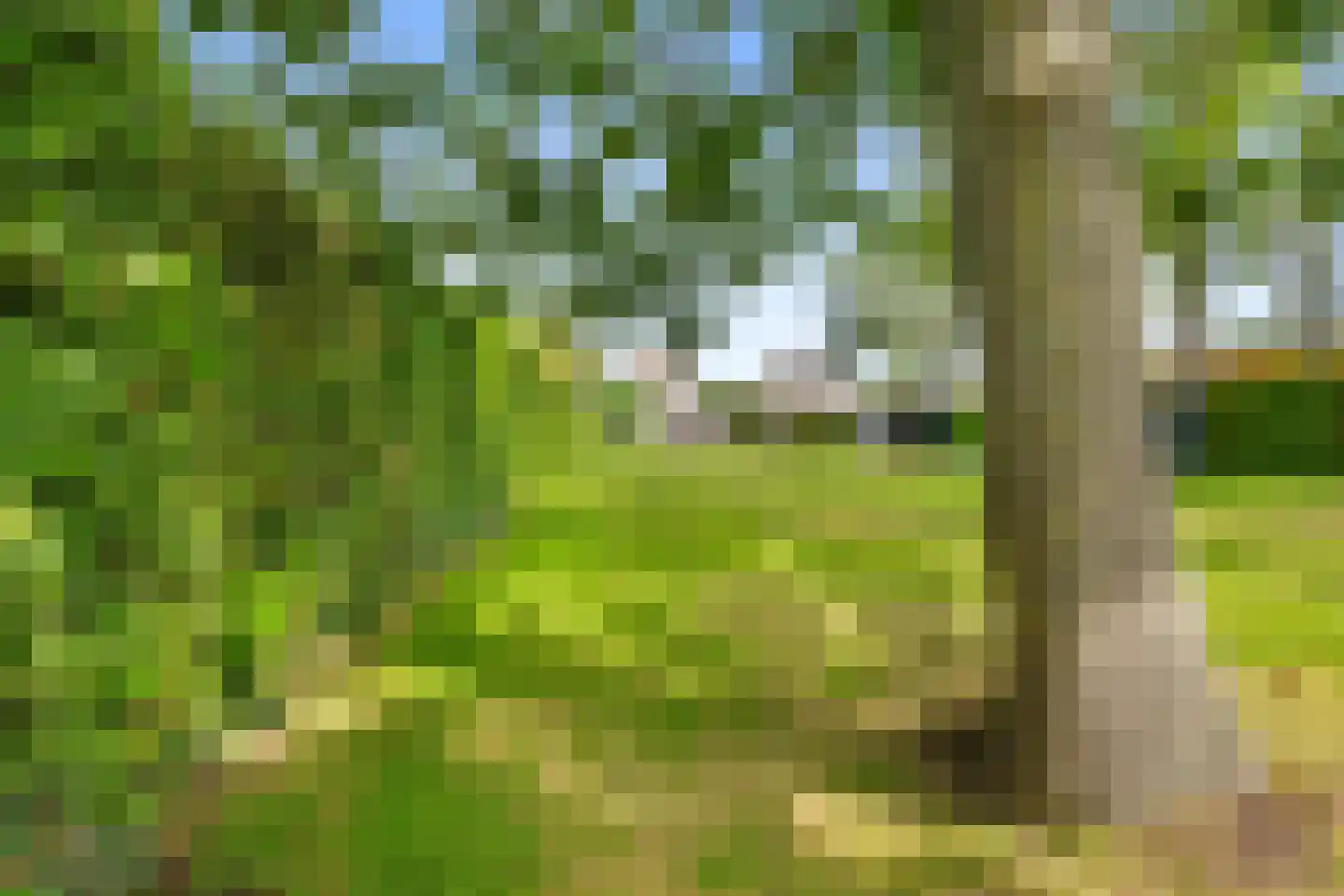 Noldijk 3 Ridderkerk thumbnail 69