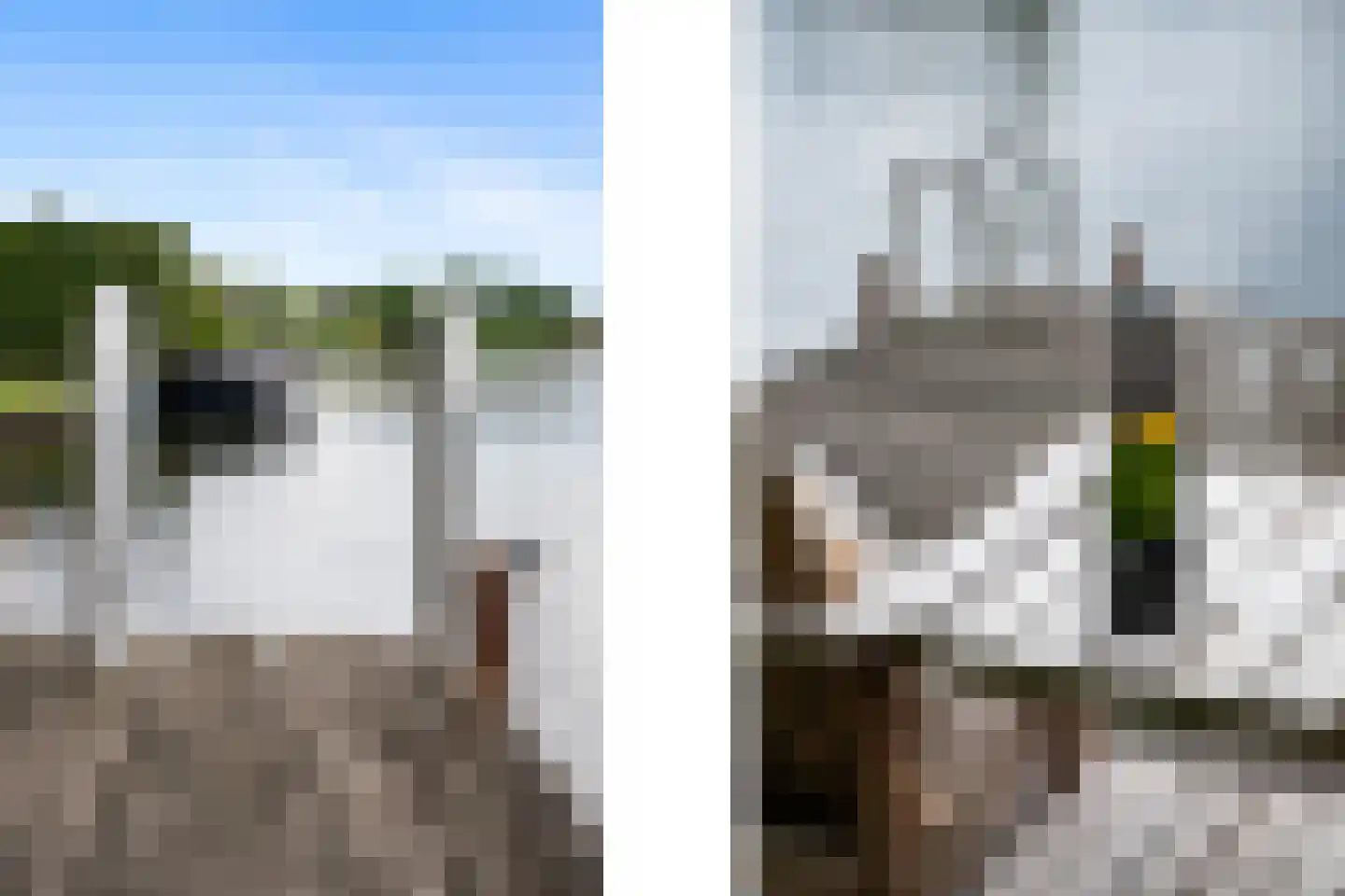 Noldijk 3 Ridderkerk thumbnail 7