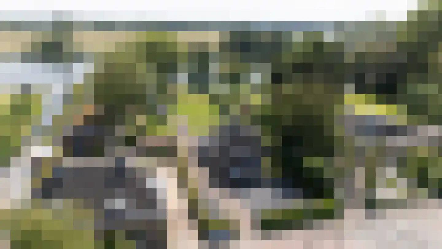 Noldijk 3 Ridderkerk thumbnail 8