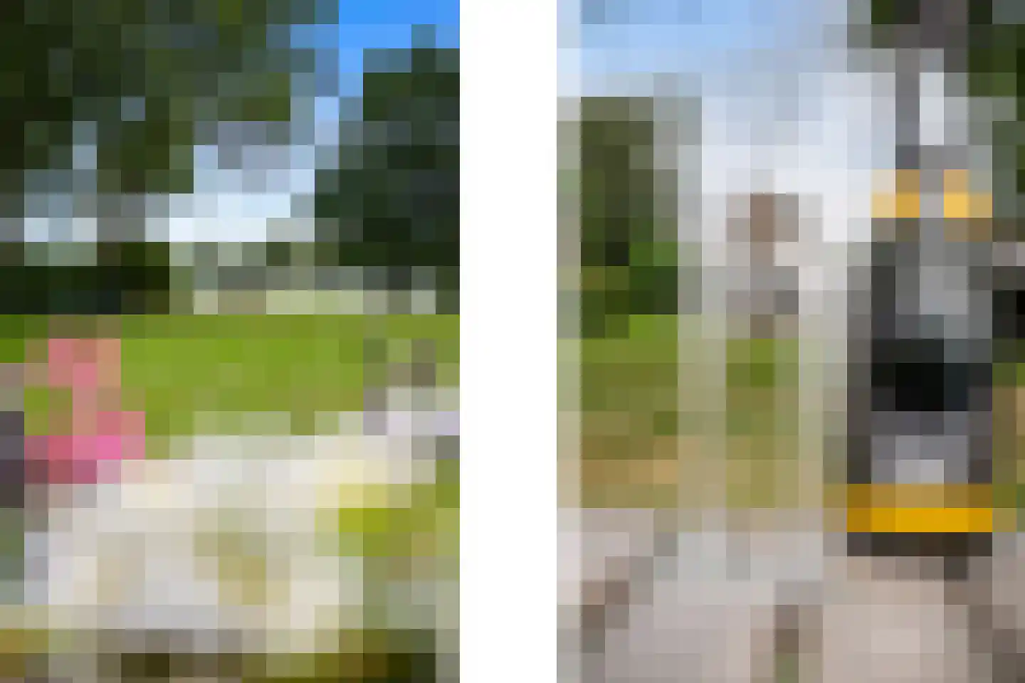 Noldijk 3 Ridderkerk thumbnail 86