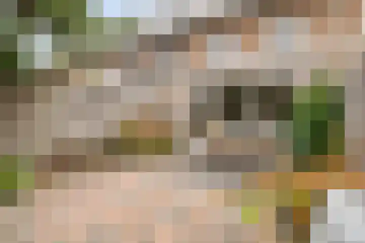 Nolendreef 3 Bergschenhoek thumbnail 13