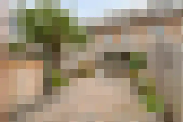 Nolendreef 3 Bergschenhoek thumbnail 14
