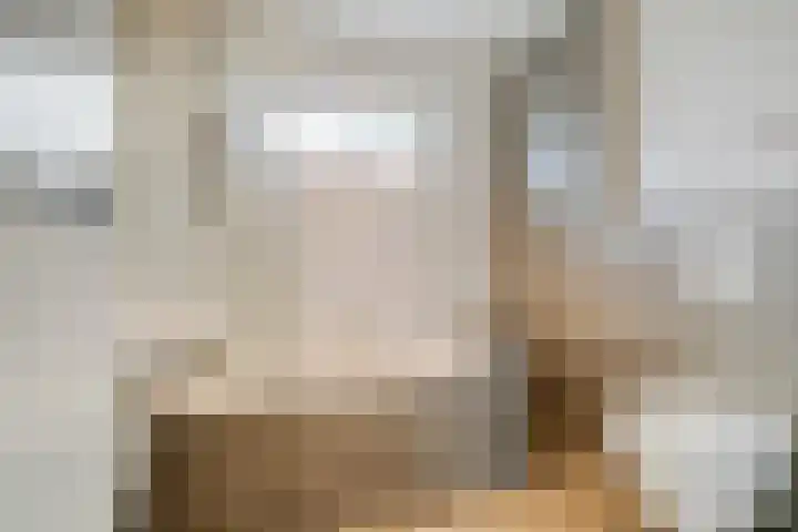 Nolendreef 3 Bergschenhoek thumbnail 22