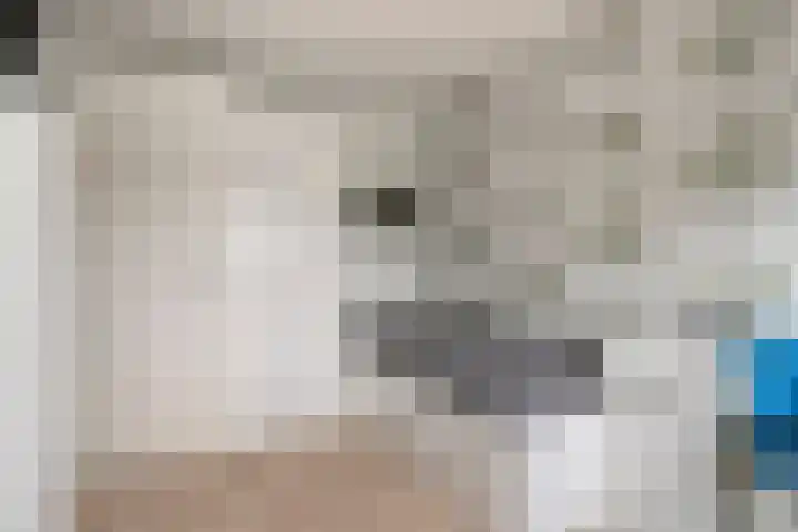 Nolendreef 3 Bergschenhoek thumbnail 25