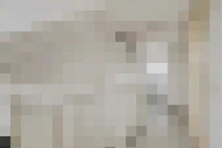 Nolendreef 3 Bergschenhoek thumbnail 26