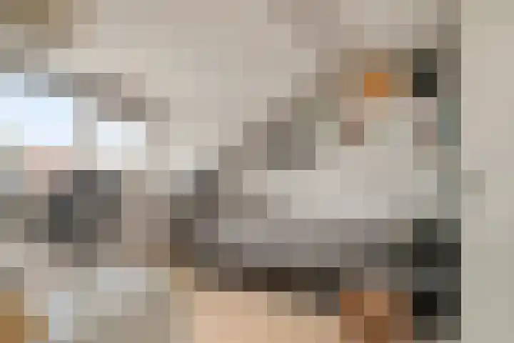 Nolendreef 3 Bergschenhoek thumbnail 27