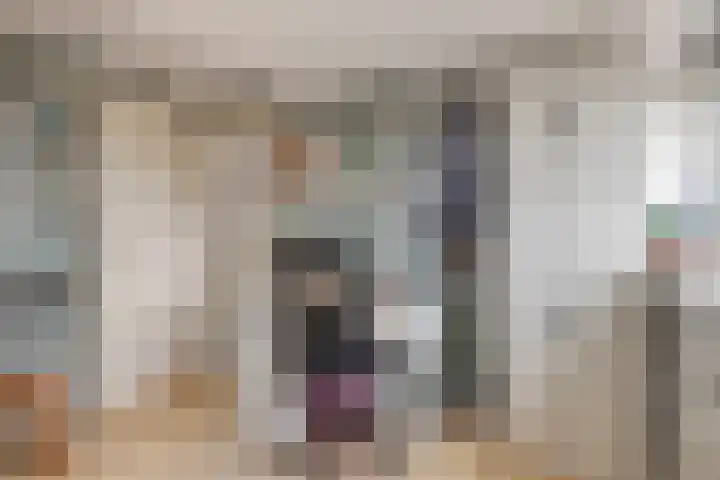 Nolendreef 3 Bergschenhoek thumbnail 28