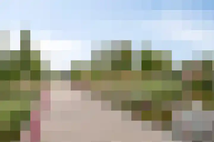 Nolendreef 3 Bergschenhoek thumbnail 31