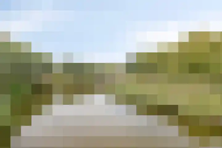Nolendreef 3 Bergschenhoek thumbnail 32
