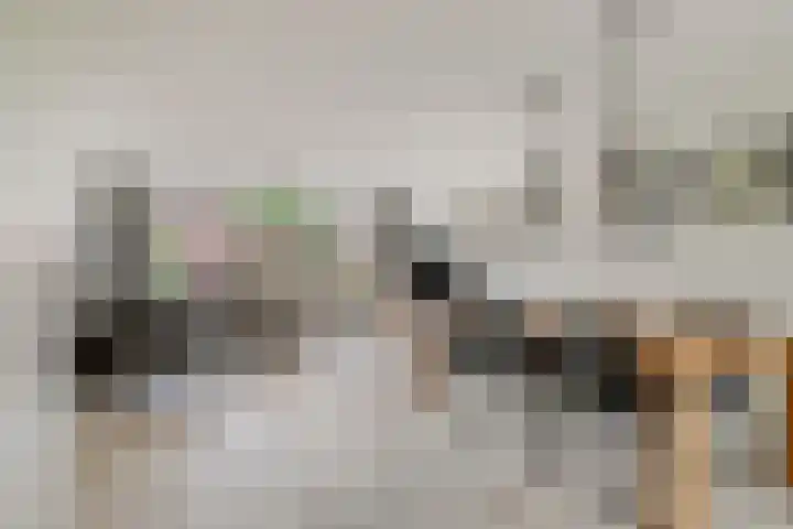 Nolendreef 3 Bergschenhoek thumbnail 6