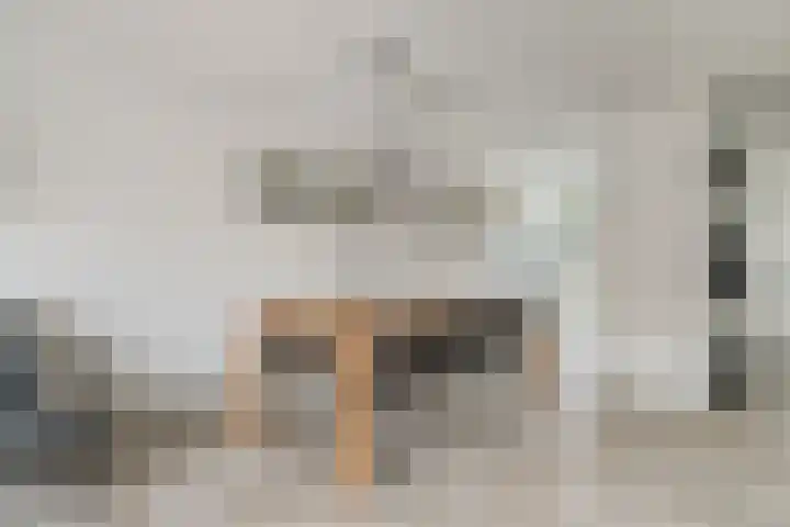 Nolendreef 3 Bergschenhoek thumbnail 7