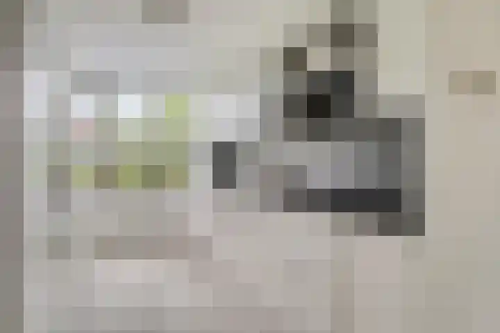 Nolendreef 3 Bergschenhoek thumbnail 8