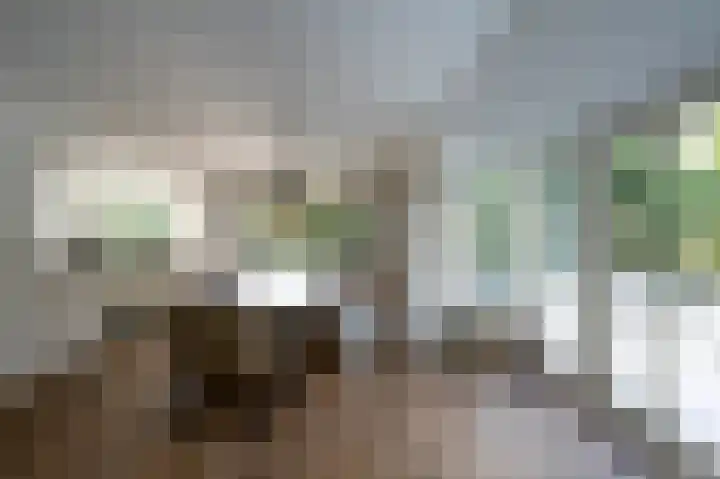 Nolenslaan 8 Huizen thumbnail 12