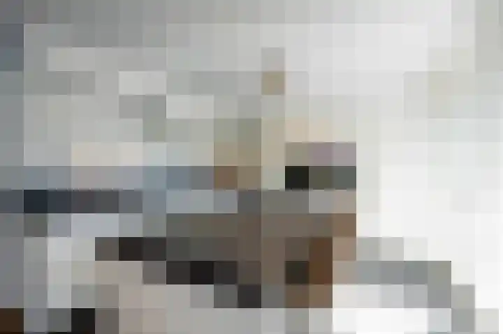 Nolenslaan 8 Huizen thumbnail 17