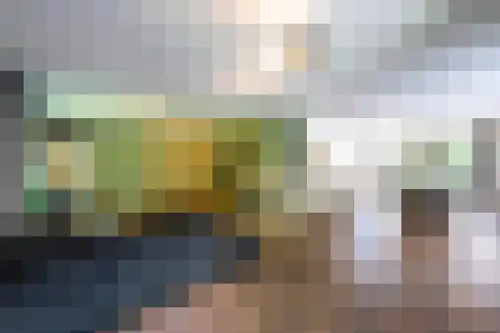 Nolenslaan 8 Huizen thumbnail 20