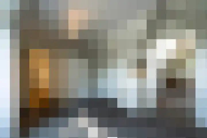 Nolenslaan 8 Huizen thumbnail 38