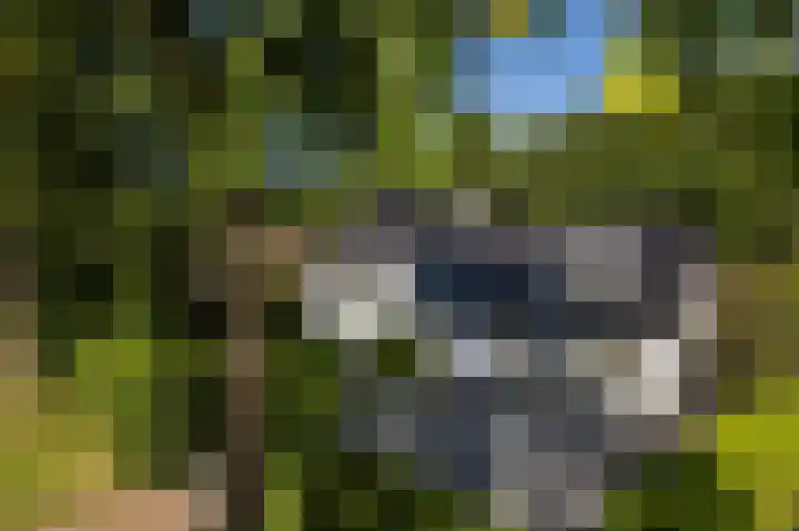 Nolenslaan 8 Huizen thumbnail 4