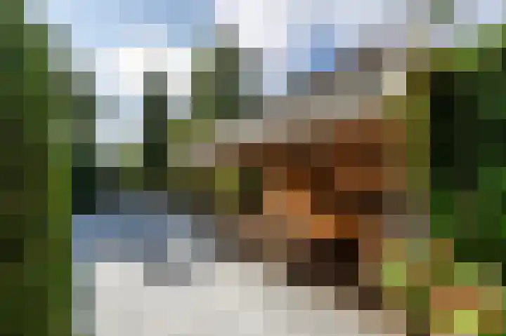 Nolenslaan 8 Huizen thumbnail 45