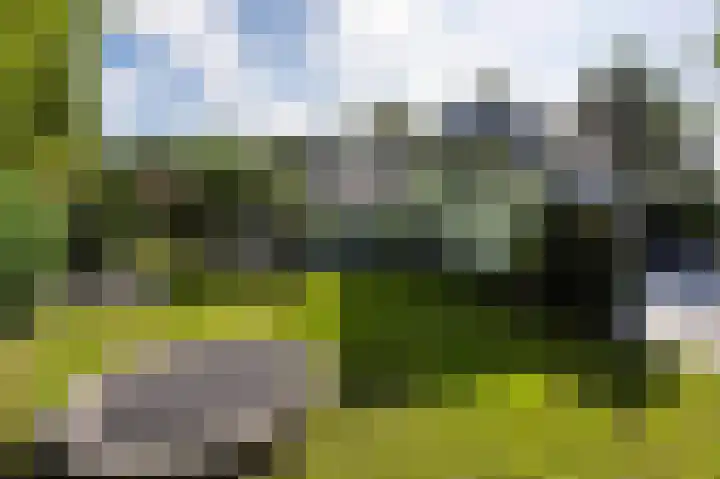 Nolenslaan 8 Huizen thumbnail 47