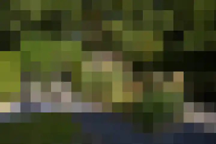 Nolenslaan 8 Huizen thumbnail 48