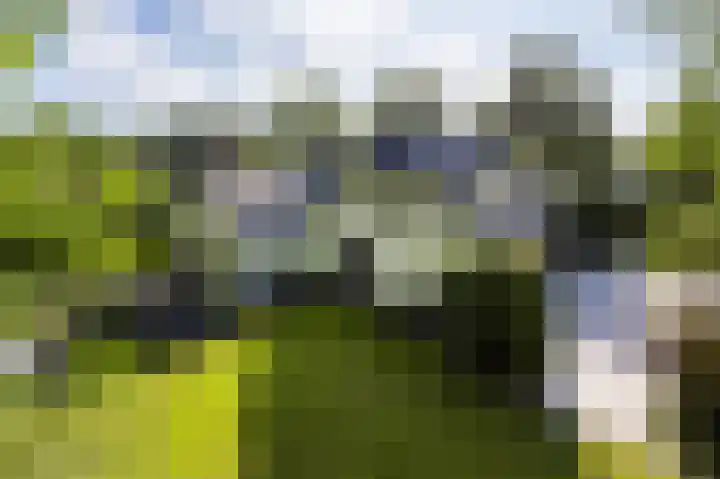 Nolenslaan 8 Huizen thumbnail 5