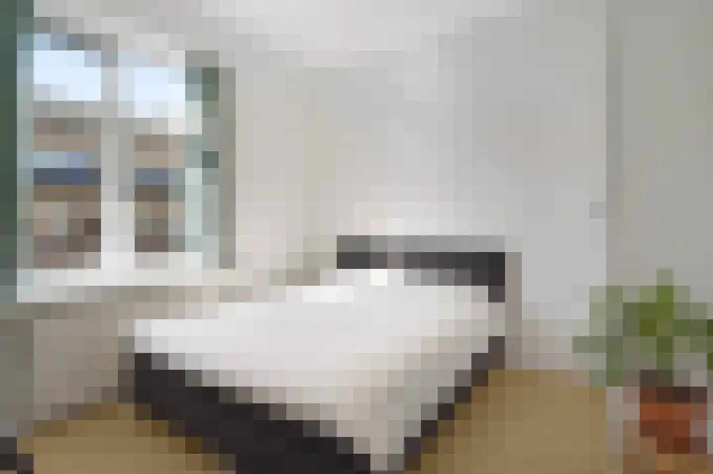 Nolensstraat 11 B 02 Rotterdam thumbnail 17