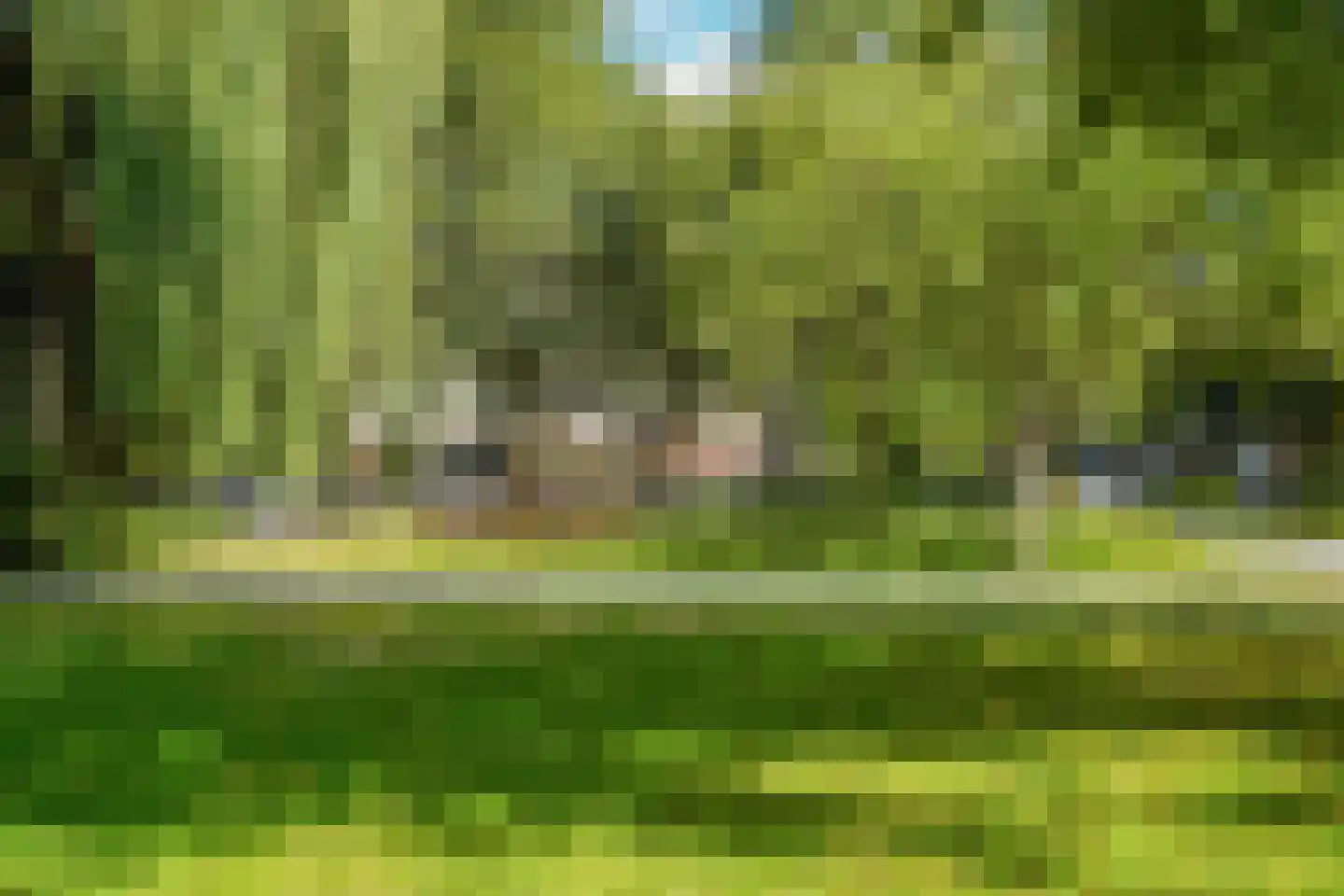 Nolensstraat 11 B 02 Rotterdam thumbnail 41